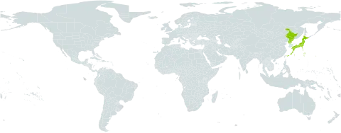 Silene koreana world distribution map, present in China, Japan, and Korea (Democratic People's Republic of)