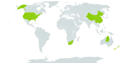 Silene world distribution map, present in Australia, China, New Zealand, United States of America, and South Africa