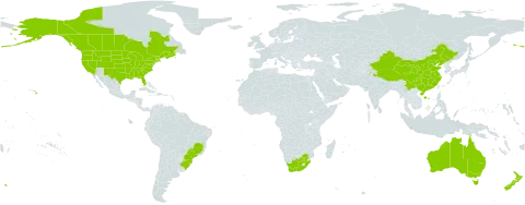 Sisymbrium officinale world distribution map, present in Australia, Brazil, Canada, China, France, India, New Zealand, Pakistan, United States of America, and South Africa