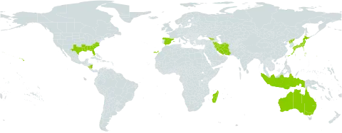 Sisyrinchium rosulatum world distribution map, present in Åland Islands, Australia, Dominica, Spain, Georgia, Indonesia, Iran (Islamic Republic of), Japan, Madagascar, Nicaragua, Puerto Rico, Korea (Democratic People's Republic of), and United States of America