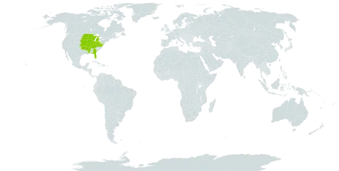 Smilax ecirrhata world distribution map, present in Micronesia (Federated States of) and United States of America