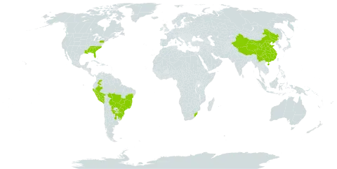 Solanum viarum world distribution map, present in Argentina, Bolivia (Plurinational State of), Brazil, China, Colombia, Peru, Paraguay, eSwatini, Uruguay, United States of America, and South Africa