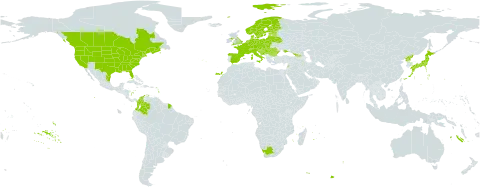 Solidago gigantea world distribution map, present in Austria, Belgium, Bulgaria, Bosnia and Herzegovina, Belarus, Canada, Switzerland, Colombia, Czech Republic, Germany, Denmark, Spain, Estonia, Finland, France, United Kingdom of Great Britain and Northern Ireland, Georgia, Guadeloupe, Croatia, Hungary, Italy, Japan, Lebanon, Liechtenstein, Lithuania, Luxembourg, Latvia, Mexico, Netherlands, Norway, Poland, Korea (Democratic People's Republic of), Portugal, Romania, Russian Federation, Serbia, Slovakia, Slovenia, Sweden, Ukraine, United States of America, and South Africa