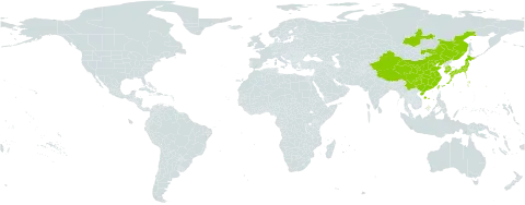 Sophora flavescens world distribution map, present in China, Japan, Korea (Republic of), Mongolia, Russian Federation, and Taiwan, Province of China