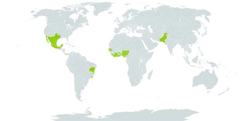 Sophora tomentosa var. occidentalis world distribution map, present in Bonaire, Sint Eustatius and Saba, Brazil, Côte d'Ivoire, Ghana, Liberia, Mexico, Nigeria, Pakistan, Panama, Senegal, Sierra Leone, Togo, and United States of America