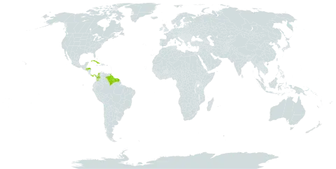 Spachea elegans world distribution map, present in Brazil, Colombia, Cuba, French Guiana, Guyana, Honduras, Panama, Suriname, Trinidad and Tobago, and Venezuela (Bolivarian Republic of)