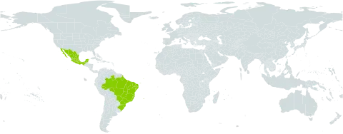 Sparattanthelium world distribution map, present in Brazil and Mexico