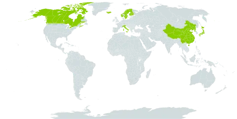 Sparganium hyperboreum world distribution map, present in Canada, China, Finland, France, Iceland, Italy, Japan, Norway, Korea (Democratic People's Republic of), Sweden, and United States of America