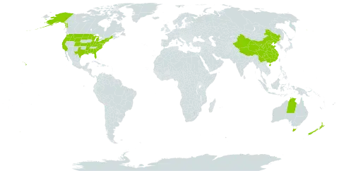 Spergula world distribution map, present in Australia, China, New Zealand, and United States of America