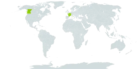 Spergularia rupicola world distribution map, present in Canada and France