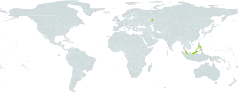 Sphaeropteris integra world distribution map, present in Italy, Malaysia, Philippines, Puerto Rico, and Russian Federation