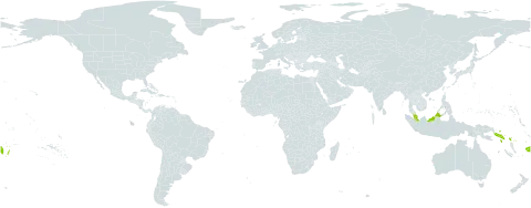 Sphaeropteris lunulata world distribution map, present in Fiji, Malaysia, Solomon Islands, Tonga, United States of America, and Samoa