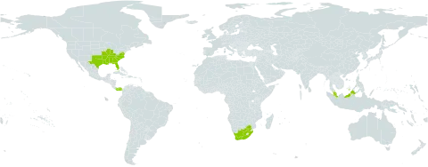 Spigelia world distribution map, present in Malaysia, Panama, United States of America, and South Africa