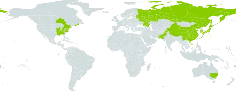 Spiraea prunifolia world distribution map, present in Australia, Canada, China, Japan, Korea (Republic of), Pakistan, Russian Federation, and United States of America