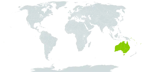 Spiraeanthemum world distribution map, present in Australia, Fiji, Papua New Guinea, Solomon Islands, Vanuatu, and Samoa