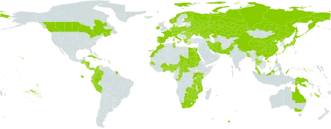 Spirodela polyrhiza world distribution map, present in Åland Islands, Albania, Australia, Austria, Benin, Burkina Faso, Bangladesh, Bulgaria, Belarus, Belize, Botswana, Central African Republic, Canada, Switzerland, China, Congo, Colombia, Costa Rica, Cuba, Czech Republic, Germany, Dominica, Denmark, Ecuador, Egypt, Spain, Finland, France, Micronesia (Federated States of), Georgia, Ghana, Greece, Guatemala, Honduras, Haiti, Hungary, Indonesia, Ireland, Iran (Islamic Republic of), Iceland, Italy, Jamaica, Japan, Kazakhstan, Kenya, Morocco, Moldova (Republic of), Mozambique, Malaysia, Norfolk Island, Nigeria, Nicaragua, Netherlands, Norway, Nepal, Pakistan, Panama, Peru, Philippines, Palau, Papua New Guinea, Poland, Puerto Rico, Korea (Democratic People's Republic of), Portugal, Romania, Russian Federation, Rwanda, Sudan, Senegal, Turks and Caicos Islands, Chad, Togo, Thailand, Tunisia, Taiwan, Province of China, Tanzania, United Republic of, Uganda, Ukraine, Uruguay, United States of America, South Africa, Zambia, and Zimbabwe
