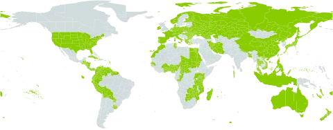 Spirodela world distribution map, present in Åland Islands, Albania, Australia, Austria, Benin, Burkina Faso, Bangladesh, Bulgaria, Belarus, Belize, Bolivia (Plurinational State of), Botswana, Central African Republic, Switzerland, China, Congo, Colombia, Costa Rica, Cuba, Czech Republic, Germany, Dominica, Denmark, Ecuador, Egypt, Spain, Finland, Fiji, France, Micronesia (Federated States of), Georgia, Ghana, Greece, Guatemala, Guyana, Honduras, Haiti, Hungary, Indonesia, Ireland, Iran (Islamic Republic of), Italy, Jamaica, Japan, Kazakhstan, Kenya, Morocco, Moldova (Republic of), Madagascar, Maldives, Mozambique, Mauritius, Malaysia, Norfolk Island, Nigeria, Nicaragua, Netherlands, Norway, Nepal, New Zealand, Panama, Peru, Philippines, Palau, Poland, Puerto Rico, Korea (Democratic People's Republic of), Portugal, Paraguay, Romania, Russian Federation, Rwanda, Sudan, Senegal, Suriname, Turks and Caicos Islands, Chad, Togo, Thailand, Tunisia, Taiwan, Province of China, Tanzania, United Republic of, Uganda, Ukraine, Uruguay, United States of America, Venezuela (Bolivarian Republic of), Viet Nam, Vanuatu, Zambia, and Zimbabwe