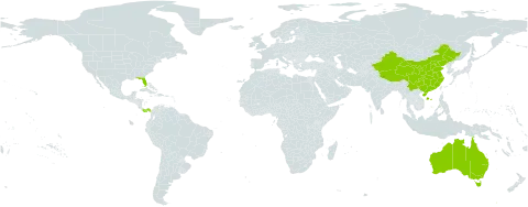 Spondias world distribution map, present in American Samoa, Australia, China, Panama, and United States of America