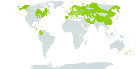 Stachys palustris world distribution map, present in Åland Islands, Albania, Austria, Bulgaria, Belarus, Canada, Switzerland, China, Colombia, Czech Republic, Germany, Denmark, Spain, Finland, France, United Kingdom of Great Britain and Northern Ireland, Greece, Hungary, Ireland, Iran (Islamic Republic of), Italy, Kazakhstan, Kyrgyzstan, Montenegro, Nicaragua, Netherlands, Norway, New Zealand, Pakistan, Poland, Portugal, Romania, Russian Federation, Sweden, Turks and Caicos Islands, Ukraine, United States of America, and Uzbekistan