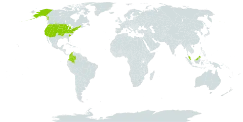 Stachys pilosa world distribution map, present in Colombia, Micronesia (Federated States of), Malaysia, and United States of America