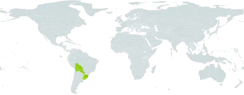 Staelia thymoides world distribution map, present in Bolivia (Plurinational State of), Brazil, Paraguay, and Uruguay