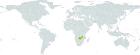 Steganotaenia hockii world distribution map, present in Zambia