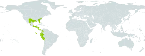 Stellaria cuspidata subsp. prostrata world distribution map, present in Bermuda, Colombia, Costa Rica, Ecuador, Guatemala, Honduras, Mexico, Nicaragua, Panama, Peru, El Salvador, and United States of America