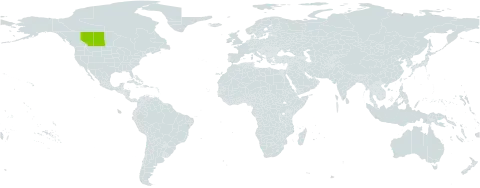 Stellaria longipes subsp. arenicola world distribution map, present in Canada