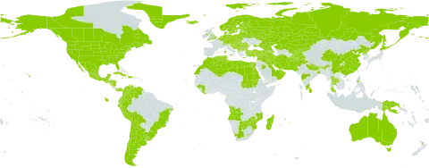 Stellaria media world distribution map, present in Afghanistan, Angola, Anguilla, Albania, United Arab Emirates, Argentina, Armenia, American Samoa, Australia, Austria, Azerbaijan, Belgium, Bulgaria, Bosnia and Herzegovina, Belarus, Bolivia (Plurinational State of), Brazil, Bhutan, Botswana, Canada, Switzerland, Chile, China, Colombia, Cabo Verde, Cuba, Cyprus, Czech Republic, Germany, Denmark, Dominican Republic, Algeria, Ecuador, Egypt, Spain, Estonia, Finland, Falkland Islands (Malvinas), France, United Kingdom of Great Britain and Northern Ireland, Georgia, Guinea, Guadeloupe, Equatorial Guinea, Greece, Greenland, Guatemala, Honduras, Croatia, Haiti, Hungary, India, Iran (Islamic Republic of), Iraq, Iceland, Israel, Italy, Jamaica, Japan, Kazakhstan, Kyrgyzstan, Kuwait, Lebanon, Liberia, Libya, Sri Lanka, Lesotho, Lithuania, Luxembourg, Latvia, Morocco, Madagascar, Mexico, North Macedonia, Malta, Montenegro, Mozambique, Martinique, Mauritius, Nicaragua, Netherlands, Norway, Nepal, New Zealand, Oman, Pakistan, Panama, Peru, Philippines, Papua New Guinea, Poland, Korea (Democratic People's Republic of), Portugal, Réunion, Romania, Russian Federation, Saudi Arabia, Sudan, South Georgia and the South Sandwich Islands, Saint Pierre and Miquelon, Serbia, Sao Tome and Principe, Slovakia, Slovenia, Sweden, Syrian Arab Republic, Thailand, Tajikistan, Timor-Leste, Tunisia, Turkey, Ukraine, Uruguay, United States of America, Uzbekistan, Venezuela (Bolivarian Republic of), Yemen, South Africa, and Zimbabwe