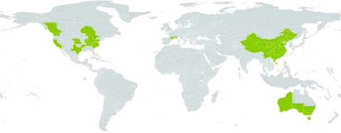 Stellaria pallida world distribution map, present in Australia, Canada, China, France, and United States of America