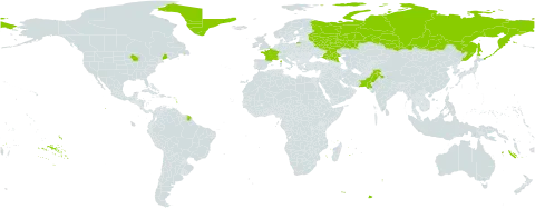 Stellaria palustris world distribution map, present in France, Greenland, India, Pakistan, Russian Federation, and United States of America