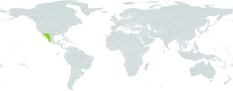 Stenocereus montanus world distribution map, present in Mexico