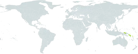 Stephania salomonum world distribution map, present in Bahamas, Papua New Guinea, and Solomon Islands