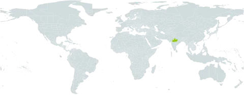 Strychnos aenea world distribution map, present in India
