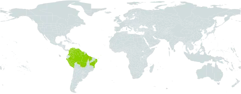 Stryphnodendron pulcherrimum world distribution map, present in American Samoa, Brazil, Colombia, French Guiana, Guyana, Peru, Suriname, and Venezuela (Bolivarian Republic of)