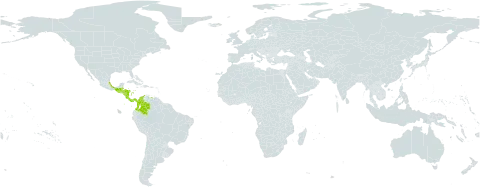 Stylogyne turbacensis subsp. laevis world distribution map, present in Belize, Colombia, Costa Rica, Guatemala, Honduras, Mexico, Nicaragua, Panama, and Venezuela (Bolivarian Republic of)