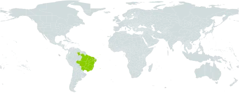 Stylosanthes guianensis var. pauciflora world distribution map, present in Brazil
