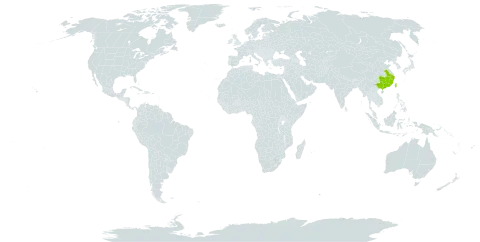 Styrax formosanus world distribution map, present in China and Taiwan, Province of China
