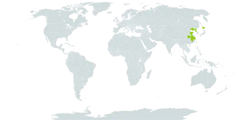 Styrax obassia world distribution map, present in China, Japan, and Korea (Democratic People's Republic of)