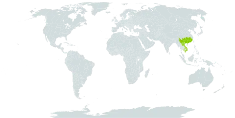 Styrax tonkinensis world distribution map, present in China, Cambodia, Lao People's Democratic Republic, and Viet Nam