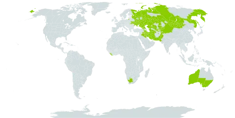 Suaeda acuminata world distribution map, present in Afghanistan, Armenia, Australia, Azerbaijan, China, Georgia, Iran (Islamic Republic of), Iraq, Kazakhstan, Kyrgyzstan, Liberia, Mongolia, Pakistan, Russian Federation, Tajikistan, Turkmenistan, Ukraine, Uzbekistan, and South Africa