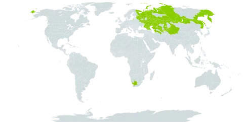 Suaeda dendroides world distribution map, present in China, Georgia, Kazakhstan, Kyrgyzstan, Russian Federation, Turkmenistan, Uzbekistan, and South Africa