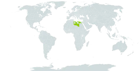 Suaeda palaestina world distribution map, present in Egypt, Greece, Israel, and Libya