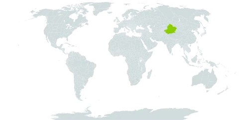 Suaeda rigida world distribution map, present in China