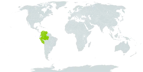 Swartzia cardiosperma world distribution map, present in American Samoa, Brazil, Colombia, Peru, and Venezuela (Bolivarian Republic of)