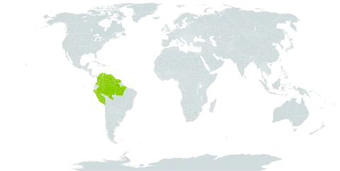 Swartzia laevicarpa world distribution map, present in American Samoa, Brazil, Colombia, French Guiana, Guyana, Peru, Suriname, and Venezuela (Bolivarian Republic of)