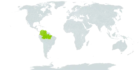Swartzia leptopetala world distribution map, present in Brazil, Colombia, and Venezuela (Bolivarian Republic of)