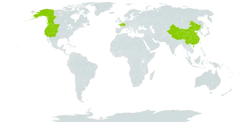 Swertia perennis world distribution map, present in Canada, China, France, and United States of America