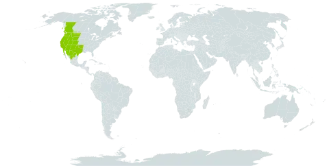 Symphoricarpos rotundifolius world distribution map, present in Canada, Mexico, and United States of America