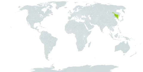 Symphyllocarpus exilis world distribution map, present in China and Korea (Democratic People's Republic of)
